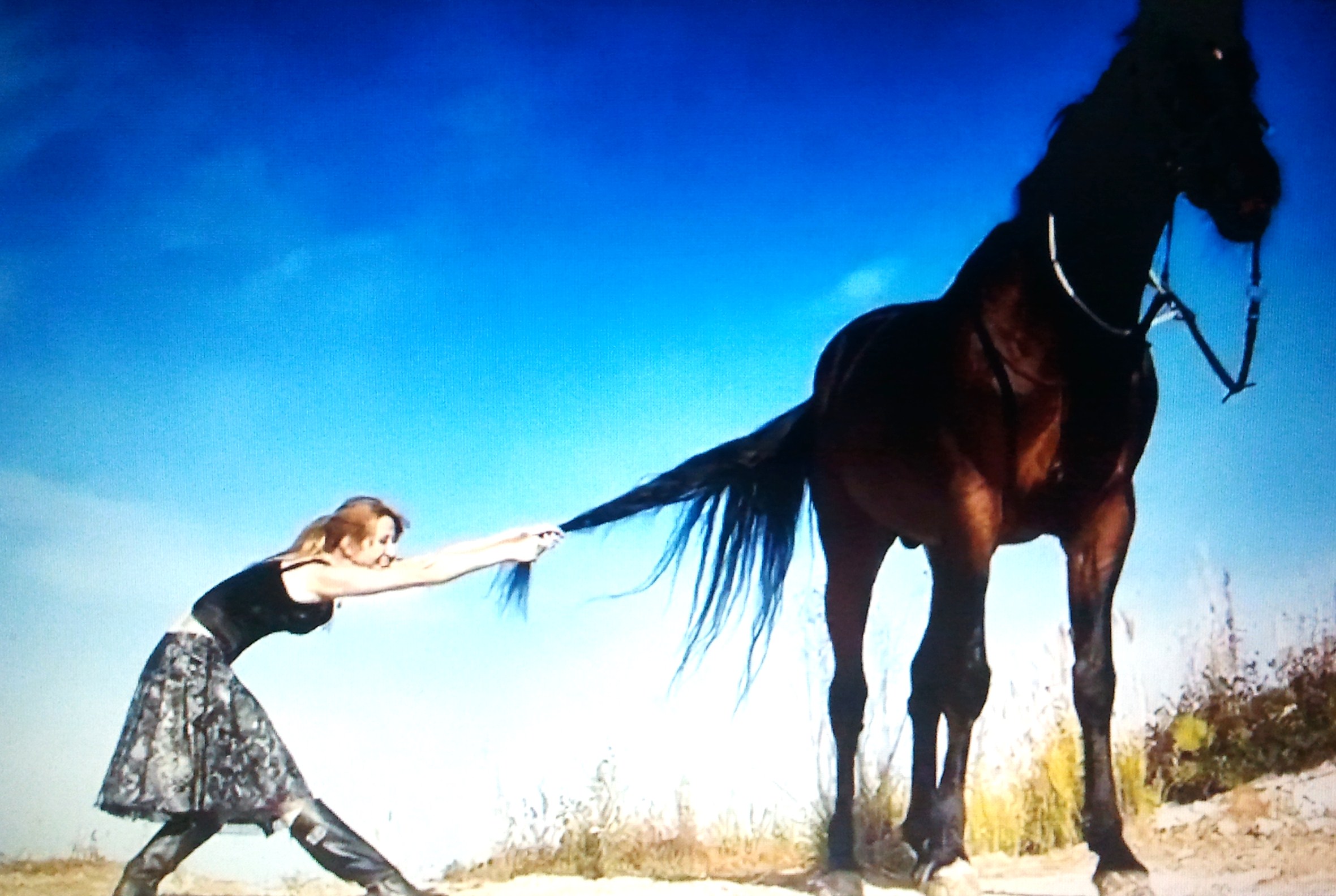 И вдруг совершенно неожиданно конь. Лошадь на скаку. Лошадь на скаку остановит. Девушка с лошадью. Женщина коня на скаку.