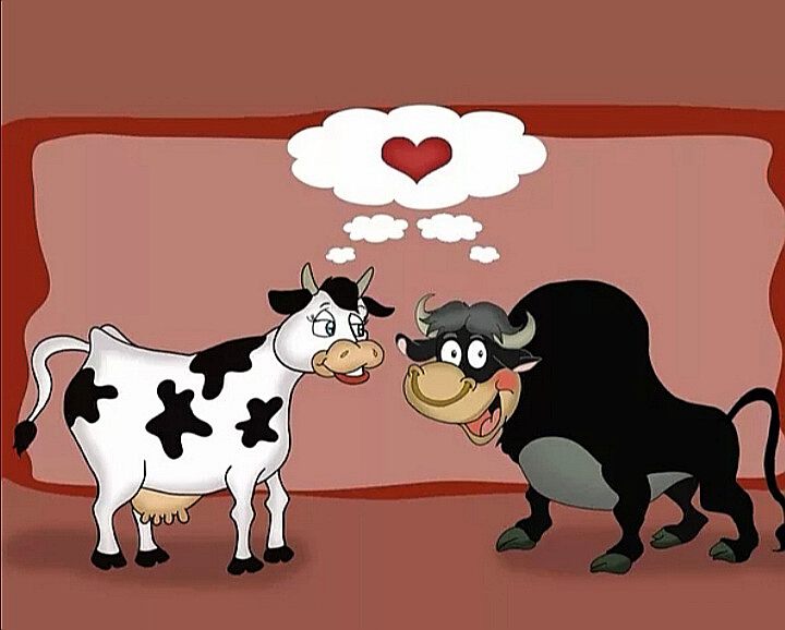 Коровье счастье
