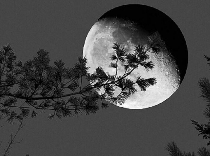 Луна лунь и линь