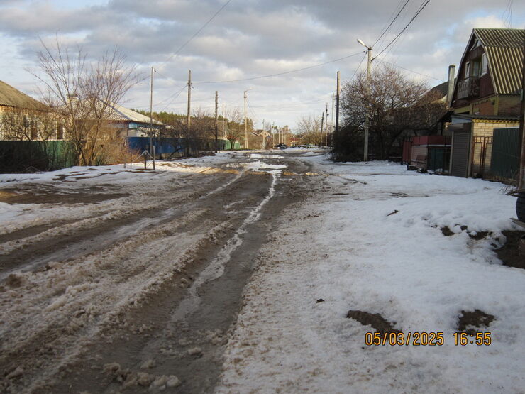 Вступила весна в законные права