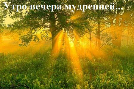 Утро вечера мудренней