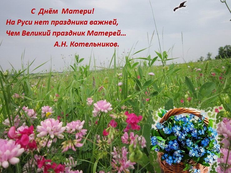 Сегодня в России День Матери!