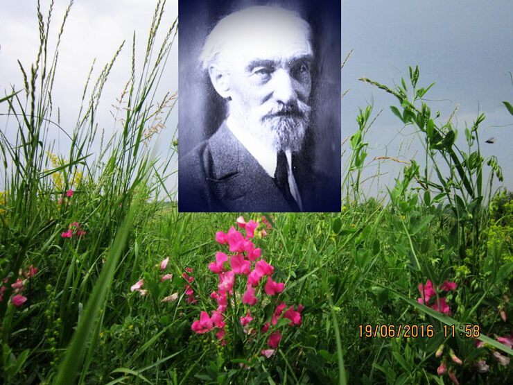 156 лет назад родился Александр Петрович Котельников