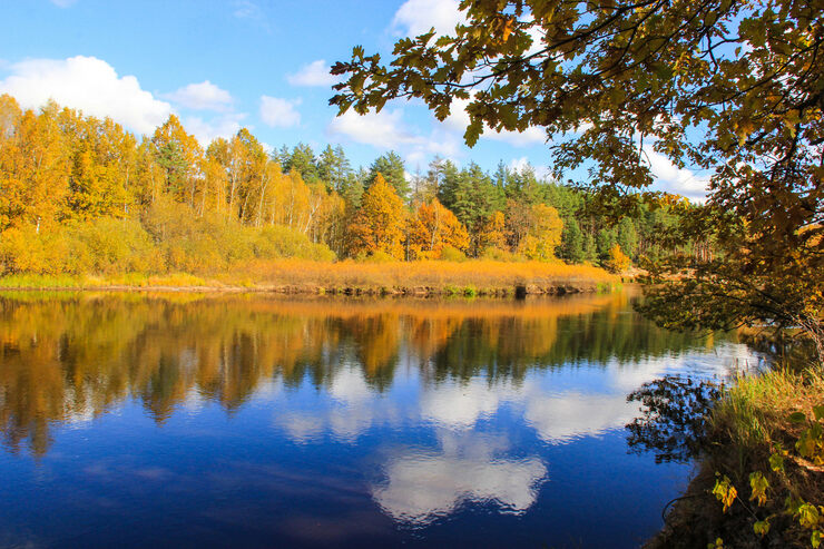 Мещёра. Отпуск. Волчаны