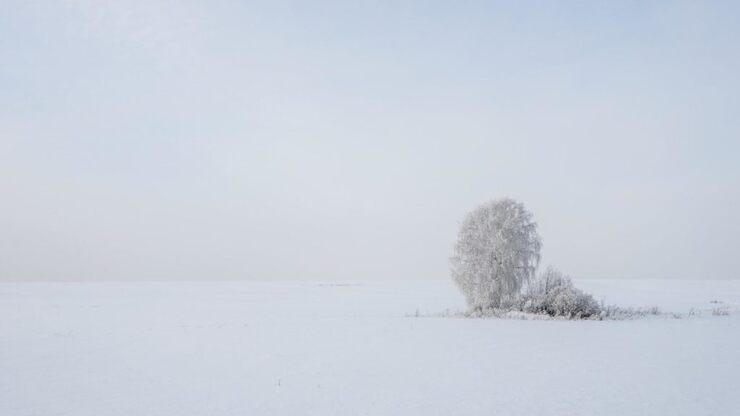 Снег укутал землю