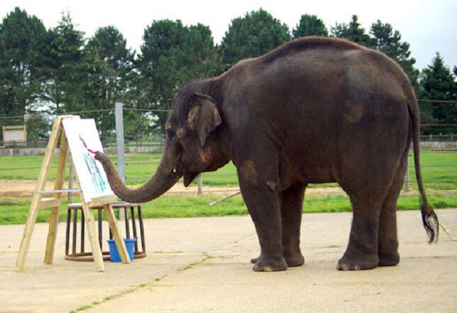 Слон художник