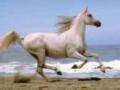 Goldfrapp: Ride A White Horse Serge Santiago Remix