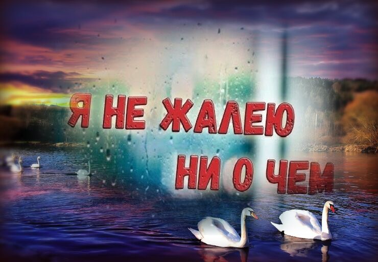 Сожаления нет ни о чём