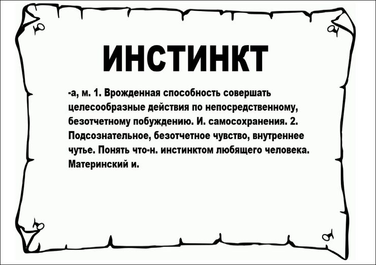 На поводУ инстинкта