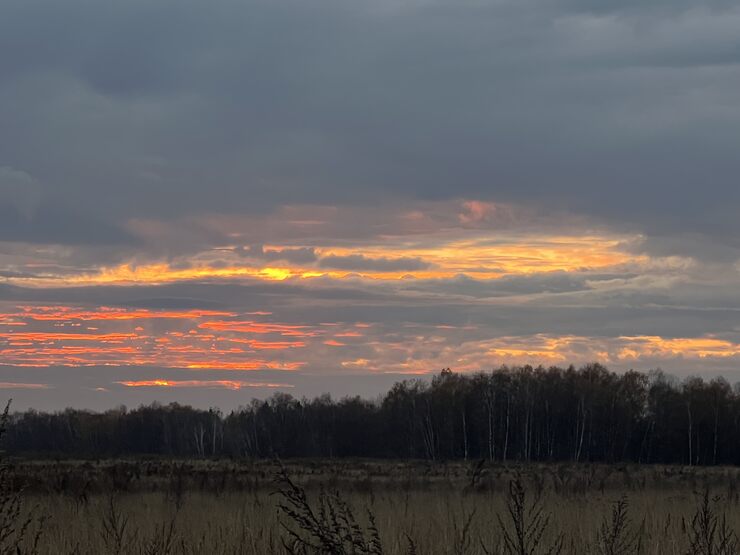 Творца набросок