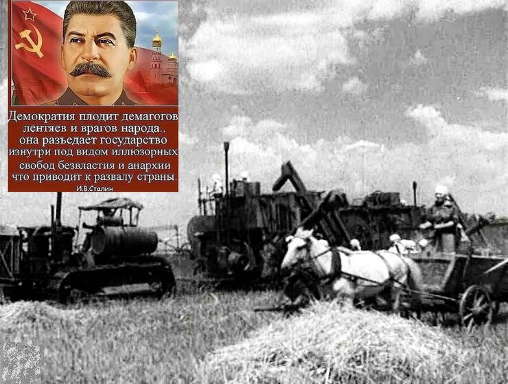 Трактор Сталинец-60 и комбайн Cталинец-1