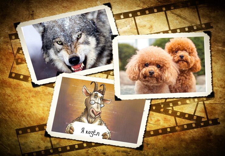 Суть породы