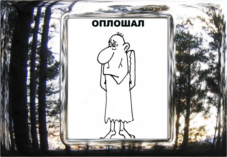 Оплошал