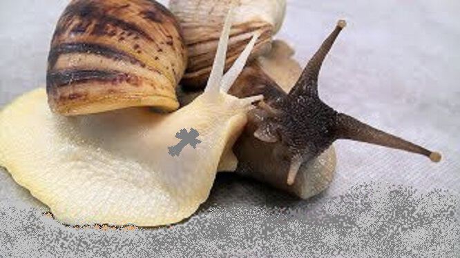 Доверительно по секрету