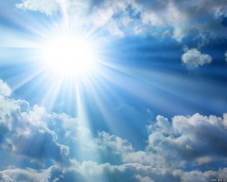 Медвед манноед