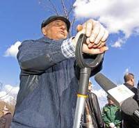 Кепочный разбор