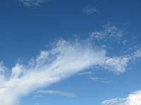 Реверс времени