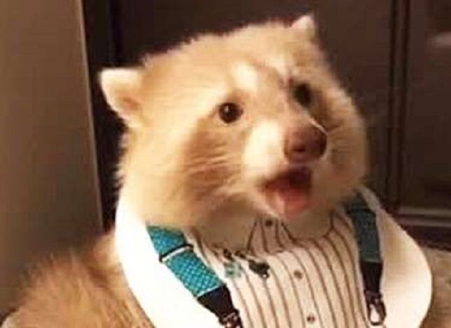 Поговорки-разговорки