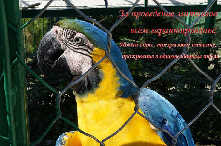 За проведение