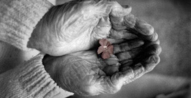 Забытые мечты