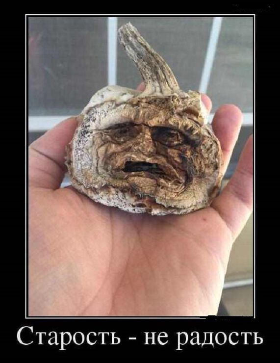 Забытые мечты