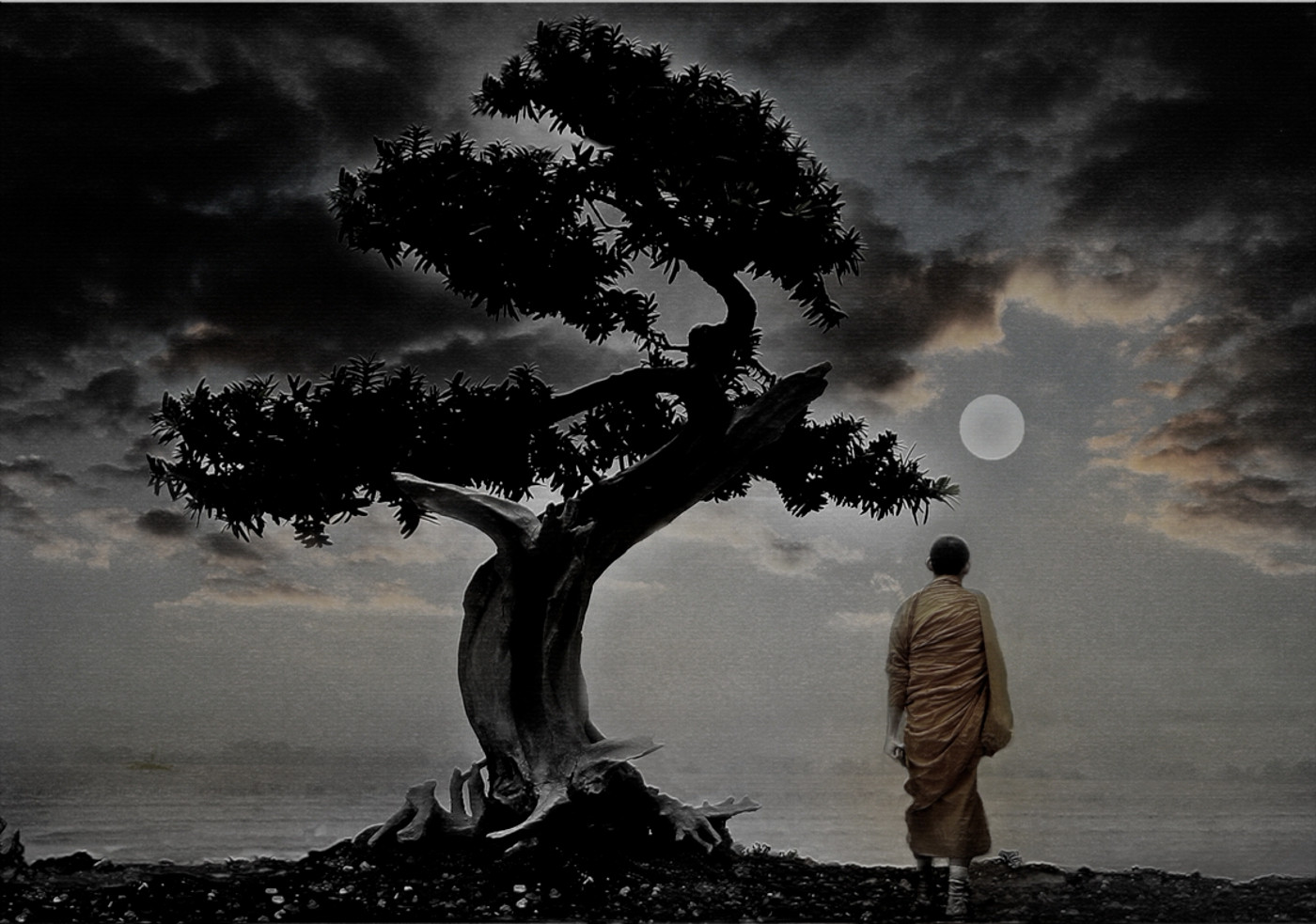 Надеяться философия. Философские размышления. Философия природы. Одинокое дерево и человек. Дерево жизни и смерти.