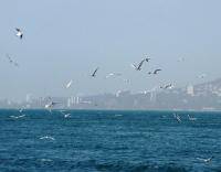 Любовь - это океан