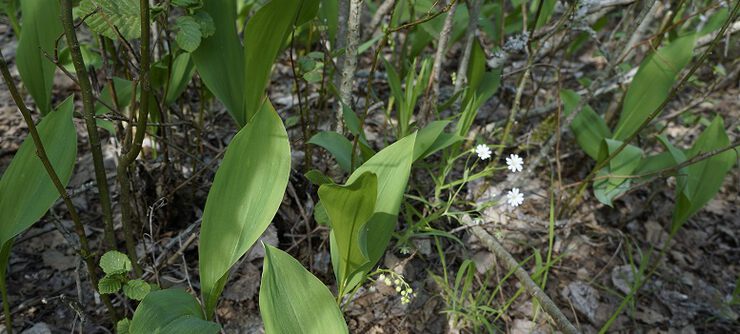 Что с нами делать?