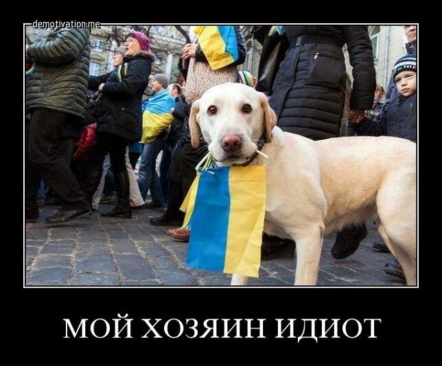 Кому как на роду написано