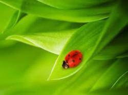 Бог двигается