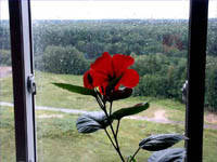 Ритм наблюдателя