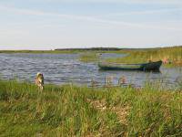 Эвклидова геометрия