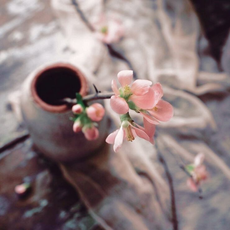 Любовь, созерцающая нас