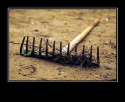 Жизненный опыт