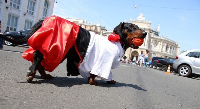 Кому как на роду написано