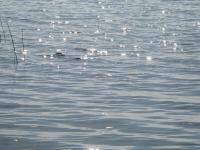 Записки насчет H2O