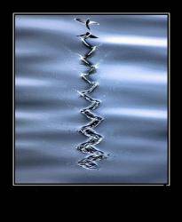 Жизненный путь