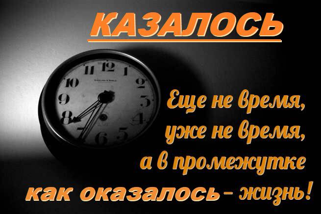 Постигаем смысл жизни