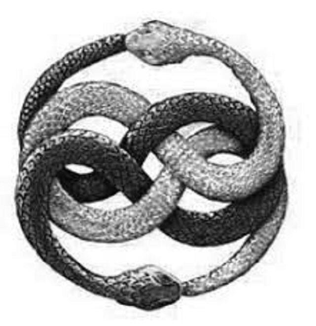 Змея значение символа. Аурин Уроборос. Уроборос 2 змеи. Уроборос бесконечность. Символы бесконечности Уроборос.