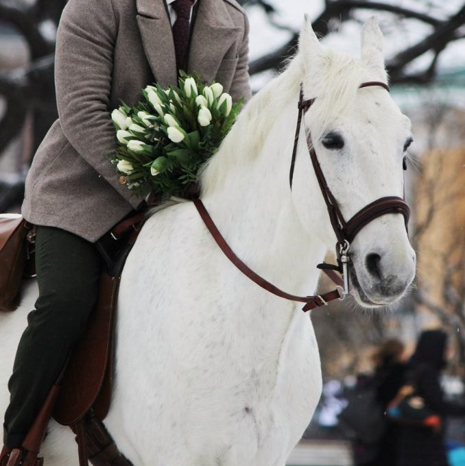 Ждала принца на белом коне фото