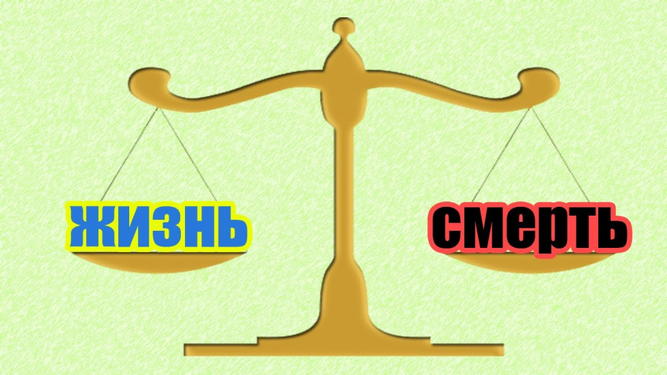 Терминологическая эквилибристика