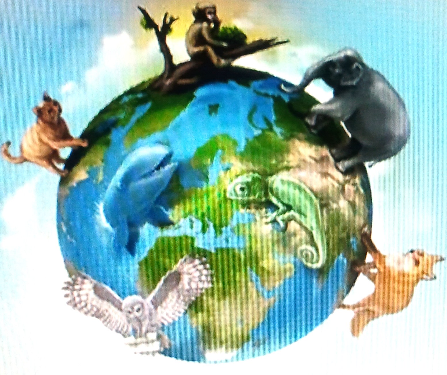 Животные на земном шаре. Земной шар с животными и растениями. Животные планеты земля. Живая Планета земля. Планета земля с животными.
